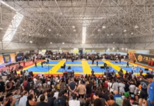 Expo Fight Bahia: Quatro dias de combate e programação gratuita!