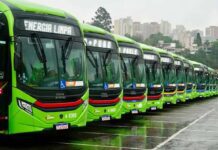 BYD lidera o mercado de ônibus elétricos no Brasil, superando concorrentes