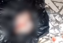 Recém-nascido encontrado na rua em Camaçari: O que aconteceu?